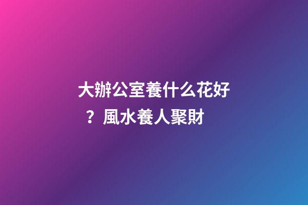 大辦公室養什么花好？風水養人聚財